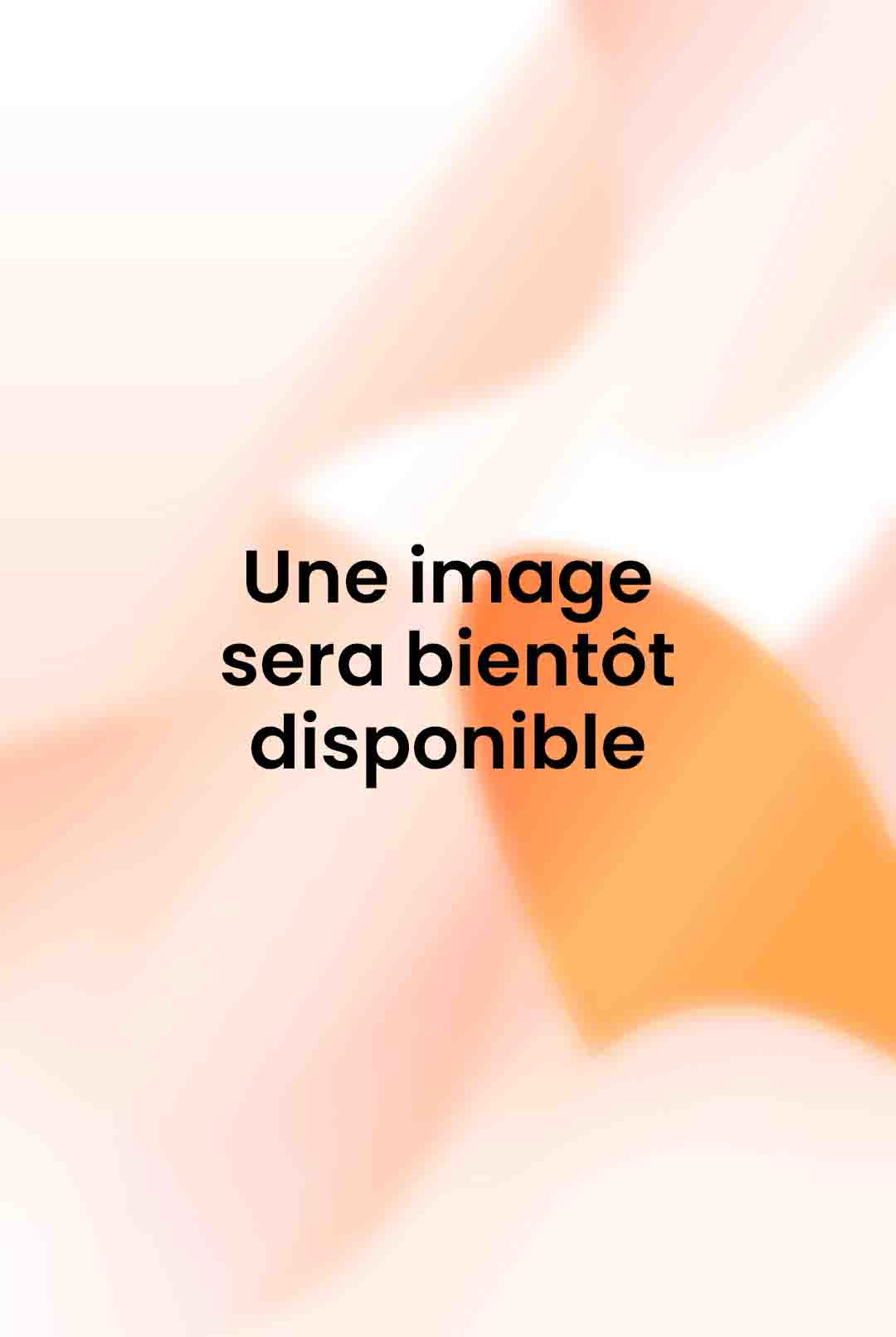 Au nom du peuple français : mémoires