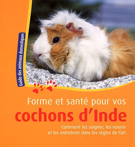 Forme et santé pour vos cochons d'Inde : comment les soigner, les nourrir et les entretenir dans les
