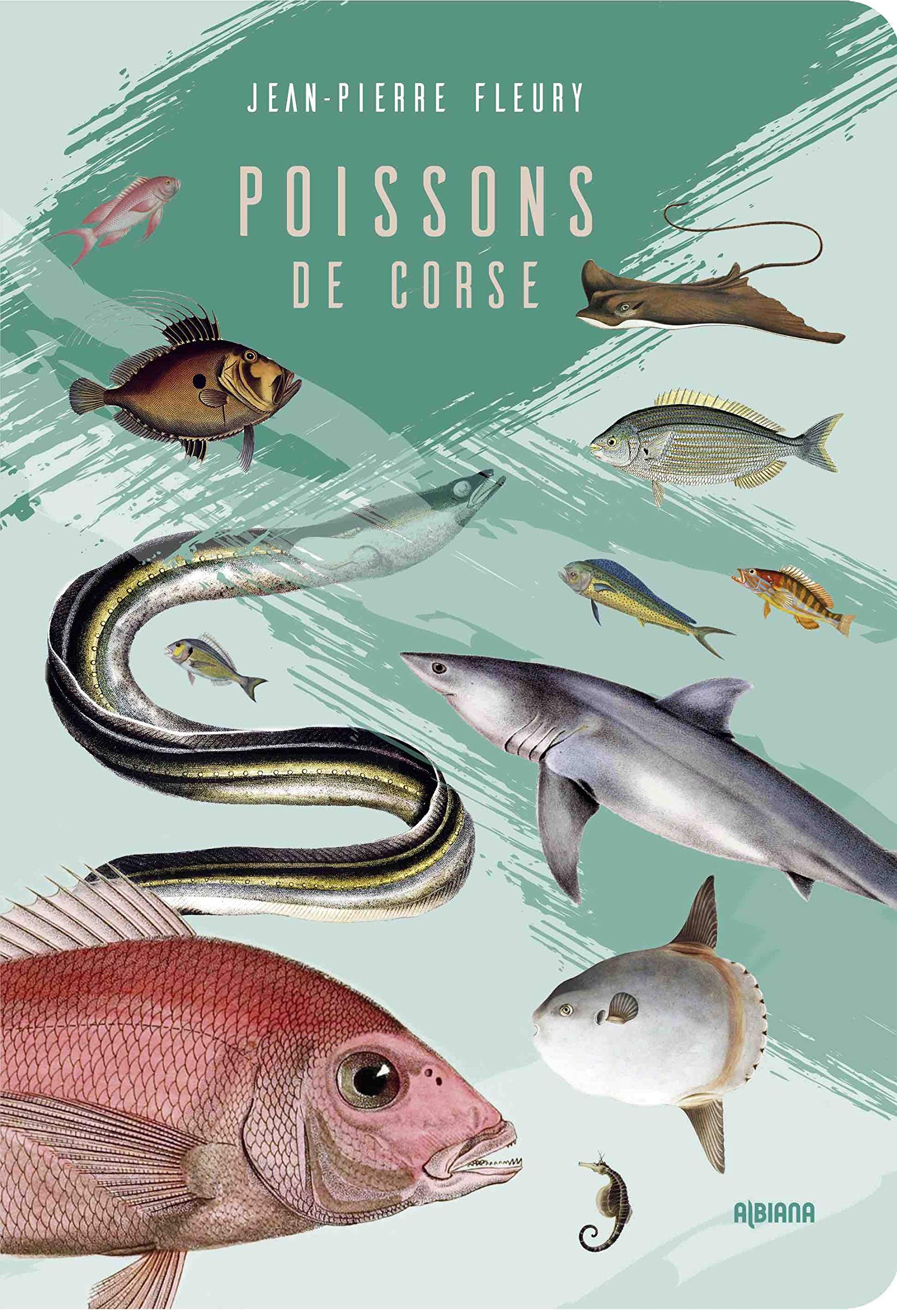 Poissons de Corse