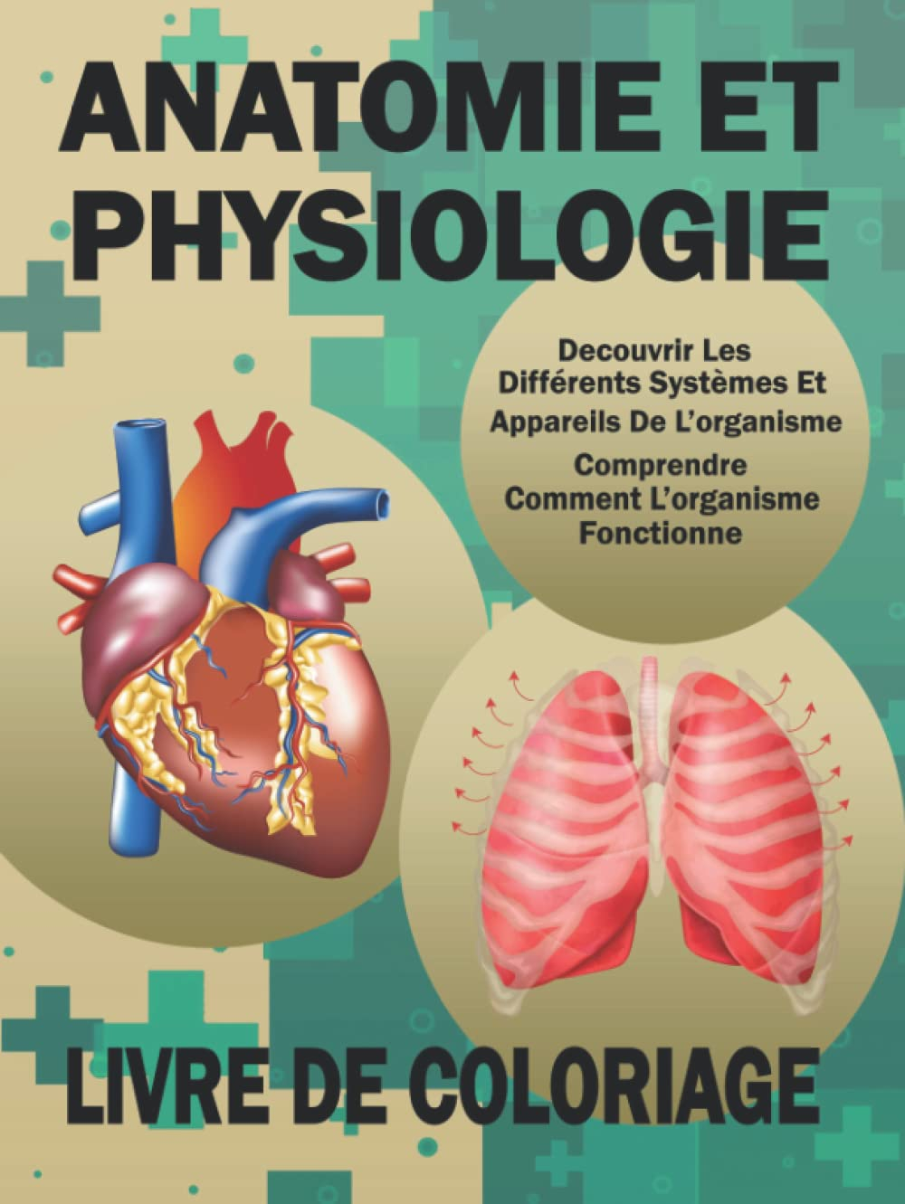 Anatomie Et Physiologie Livre De Coloriage: Anatomie, Biologie Et Physiologie Humaine De Base Pour L