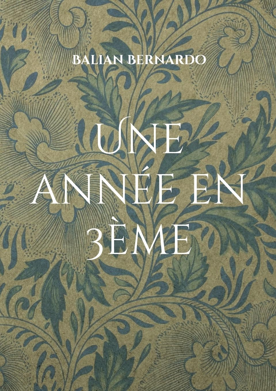 Une année en 3ème : Recueil de nouvelles et poésies
