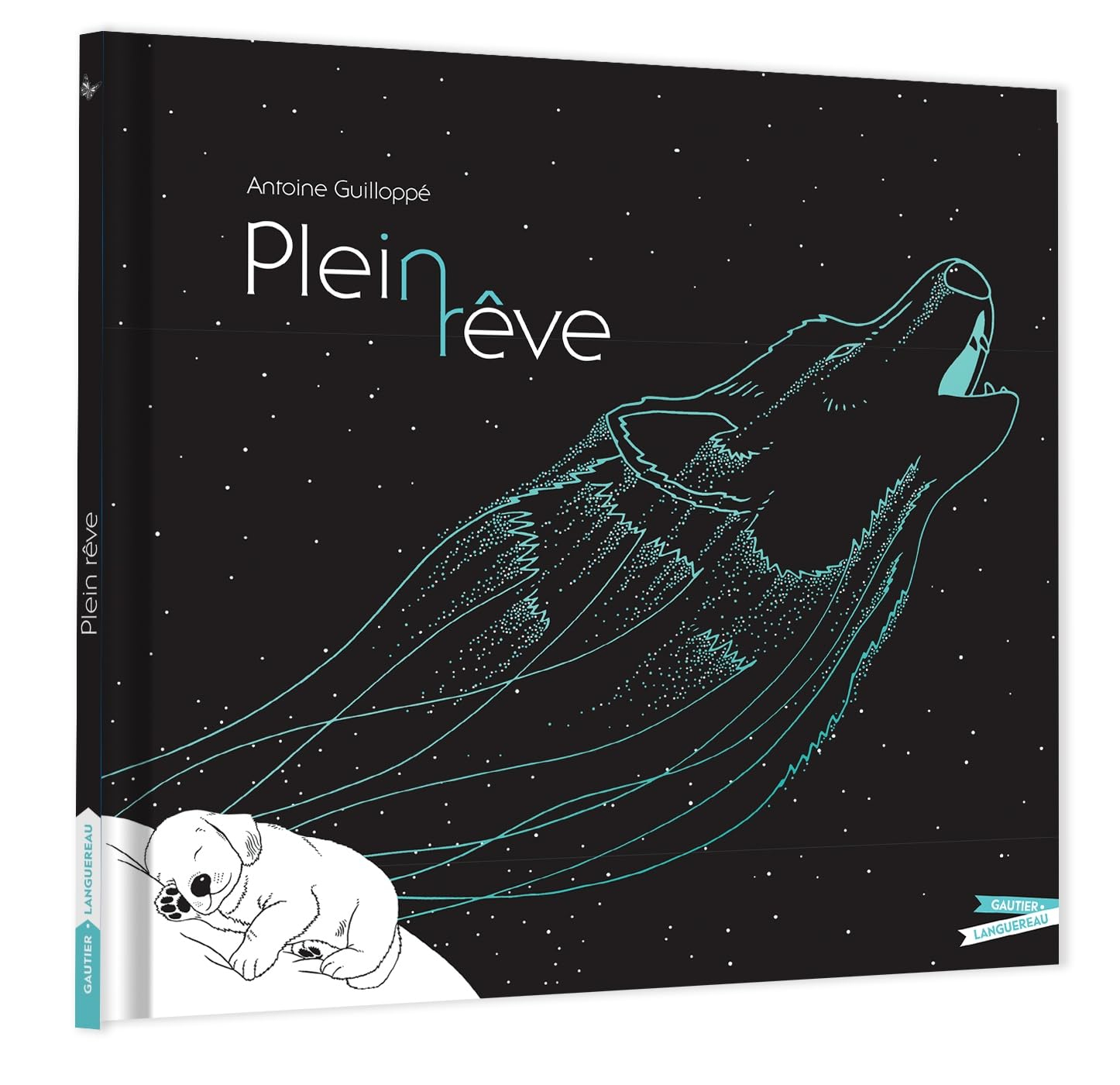 Plein rêve