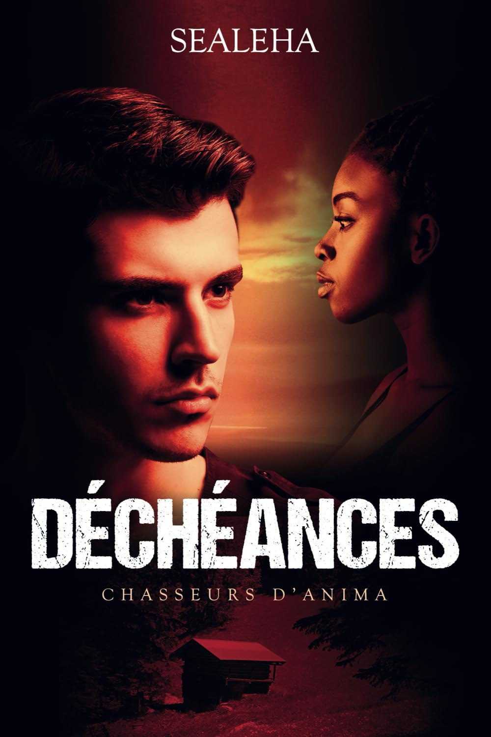 Déchéances: thriller fantastique