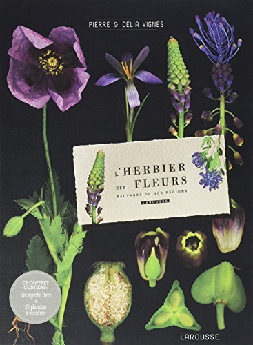 L'herbier des fleurs sauvages de nos régions