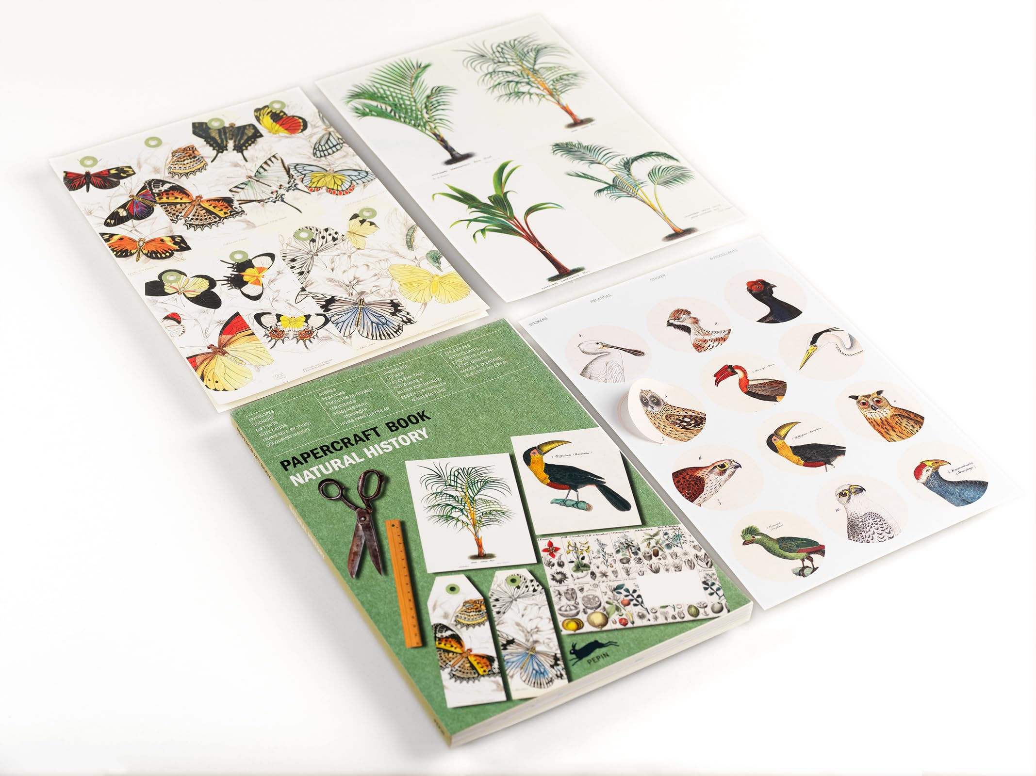 Natural History: Papercraft Book