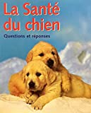 Dog Car Companion : Symptomes & Solutions