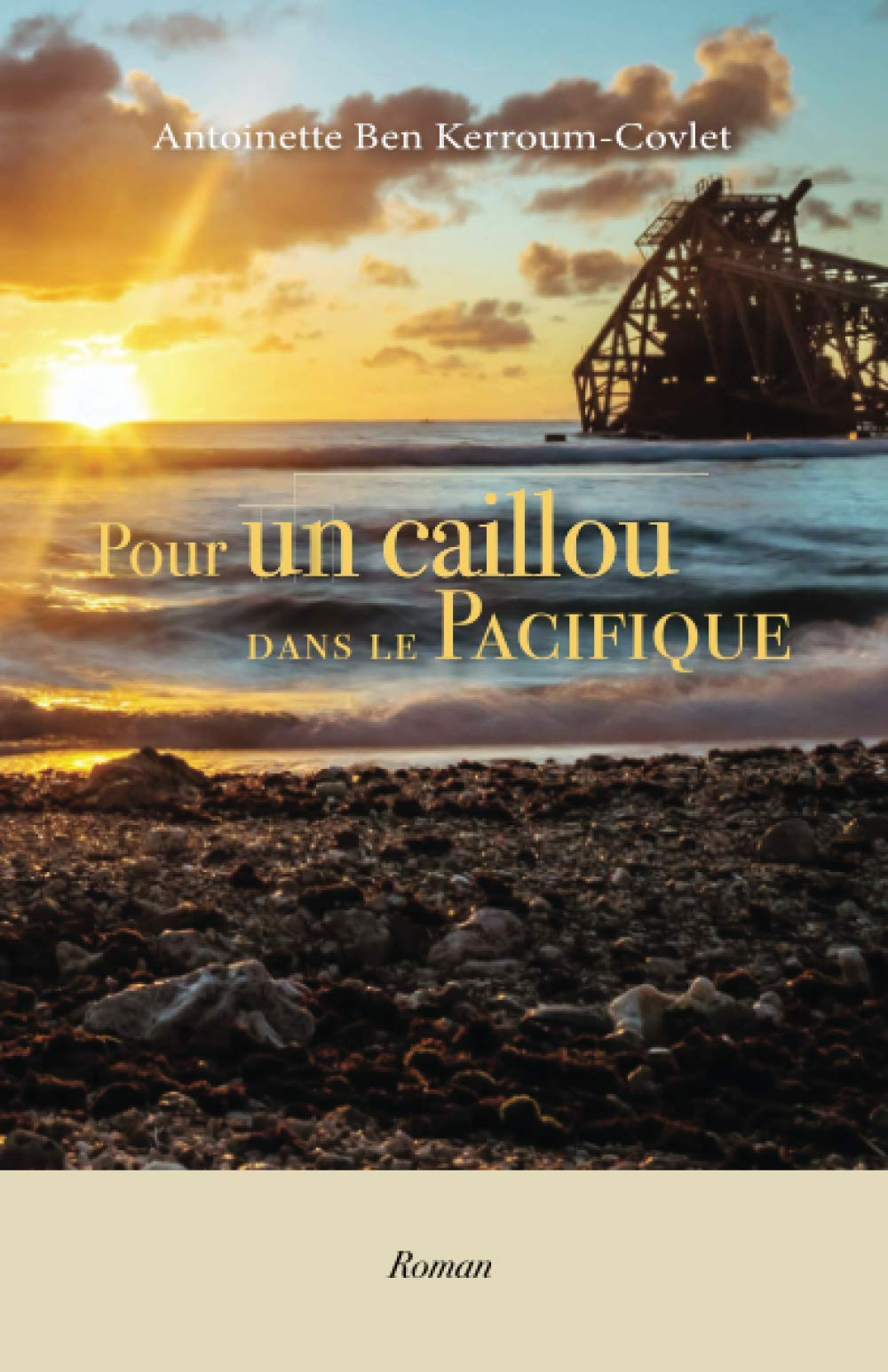 Pour un caillou dans le Pacifique: Roman