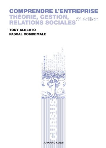 Comprendre l'entreprise : théorie, gestion, relations sociales