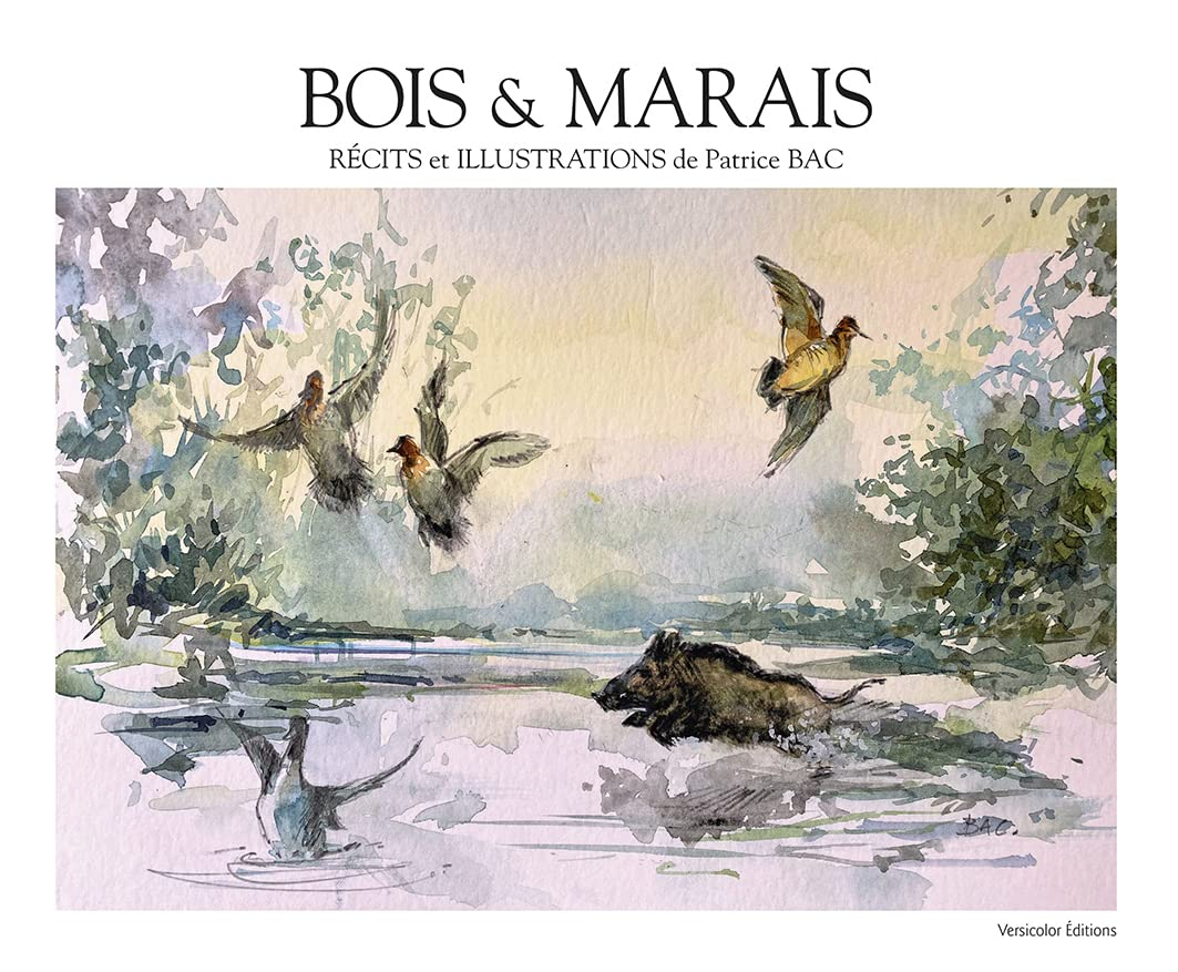 BOIS & MARAIS