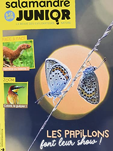 Salamandre junior n.137 - Papillons