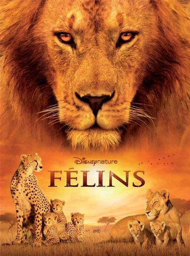 Félins