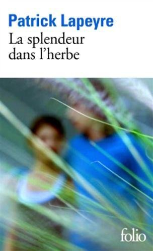 La splendeur dans l'herbe