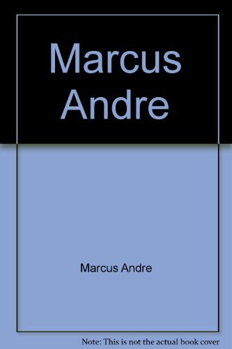 marcus andre: pinturas