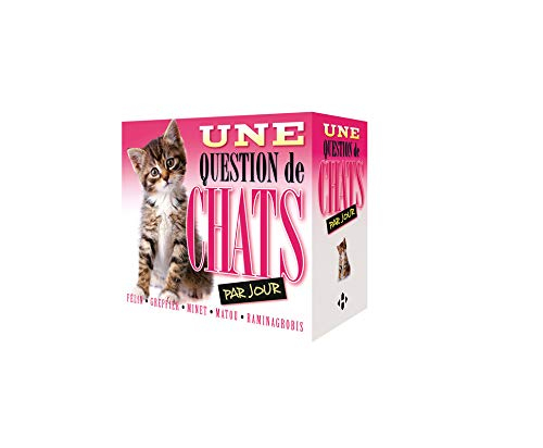 Une question de chats par jour : félin, greffier, minet, matou, raminagrobis