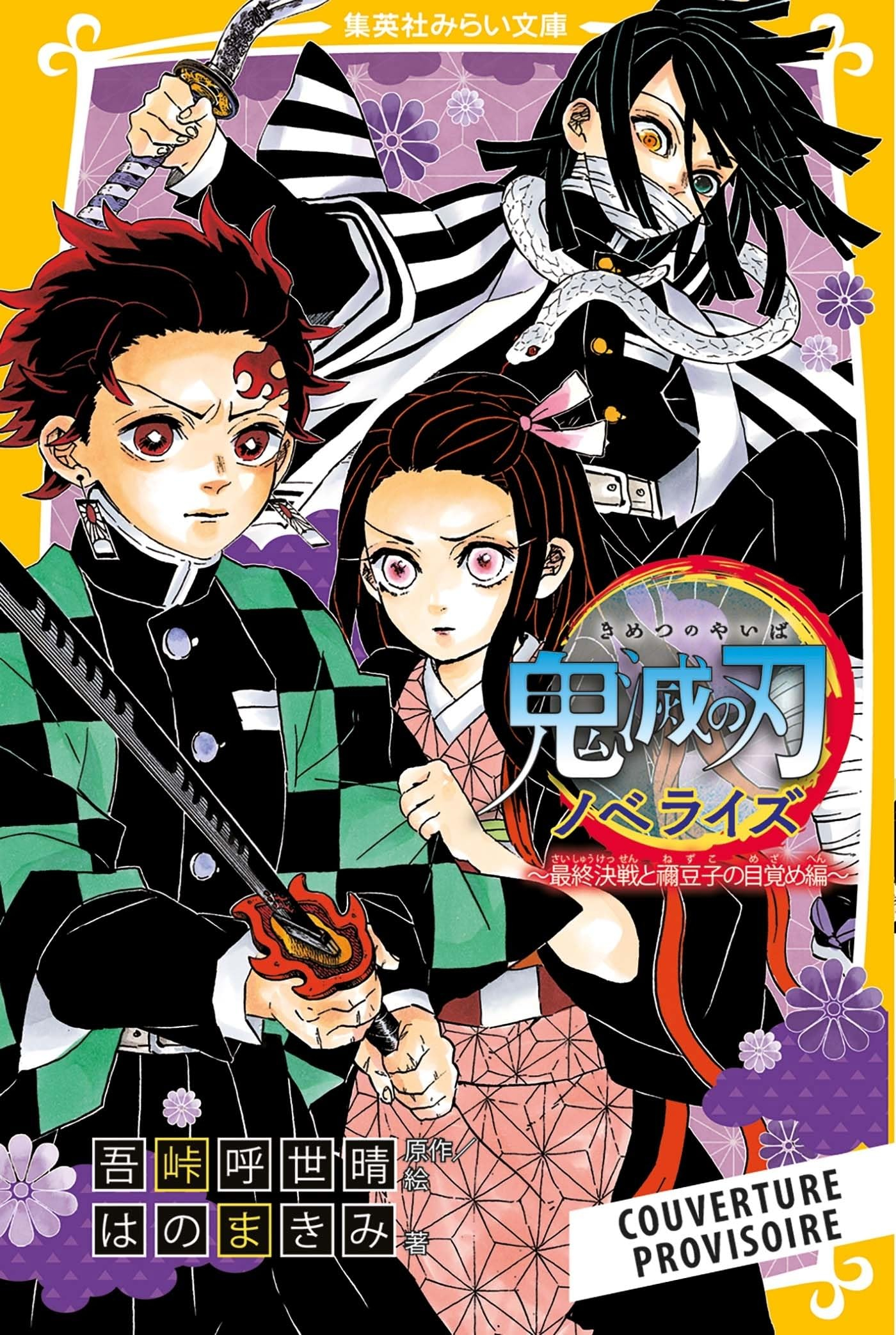 Demon slayer : Kimetsu no yaiba : roman jeunesse. Vol. 9