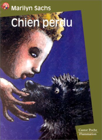 Chien perdu