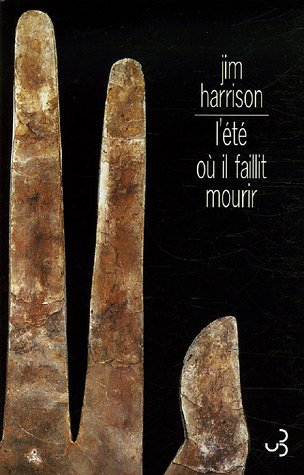 L'été où il faillit mourir
