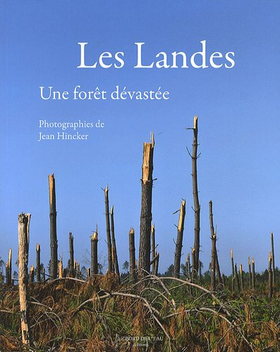 Les Landes : une forêt dévastée
