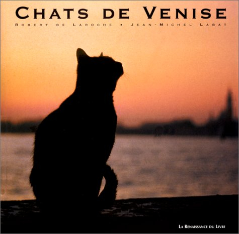 Chats de Venise