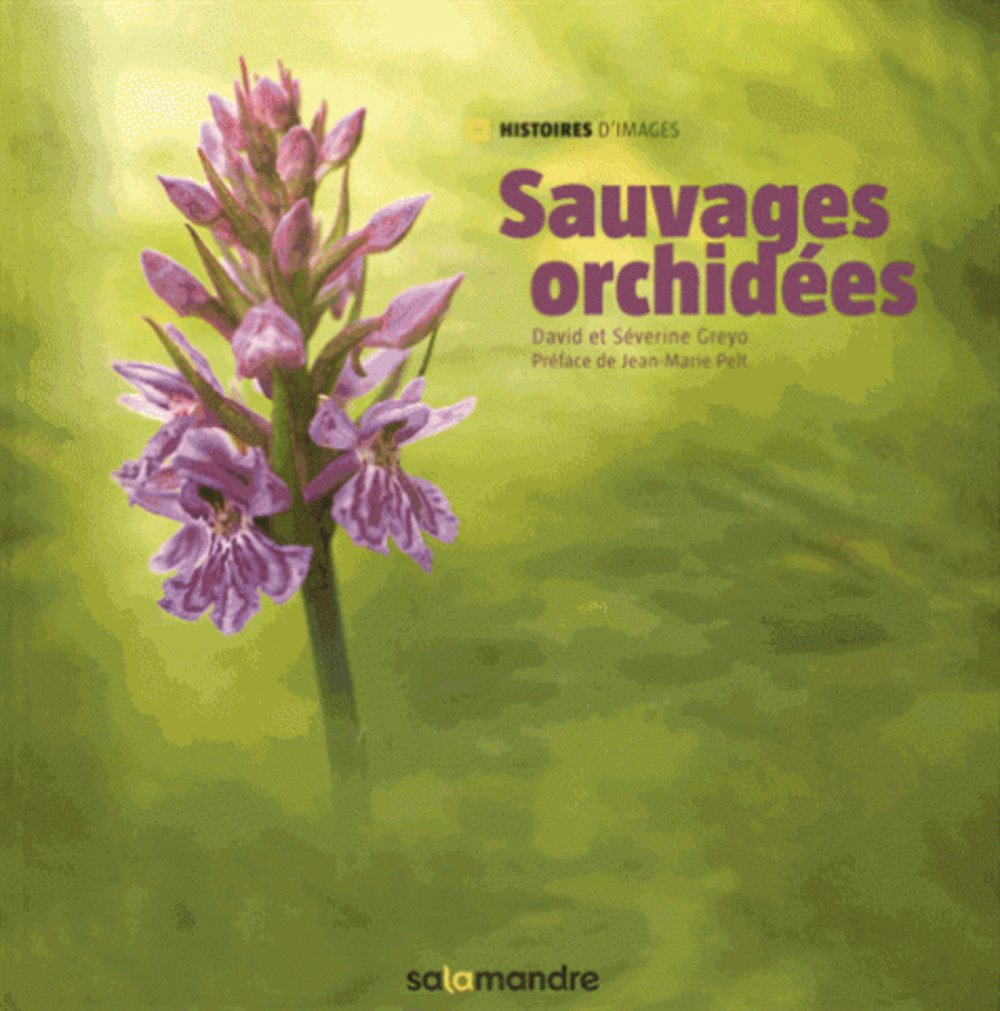 Sauvages orchidées