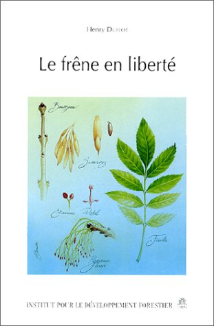 le frêne en liberté
