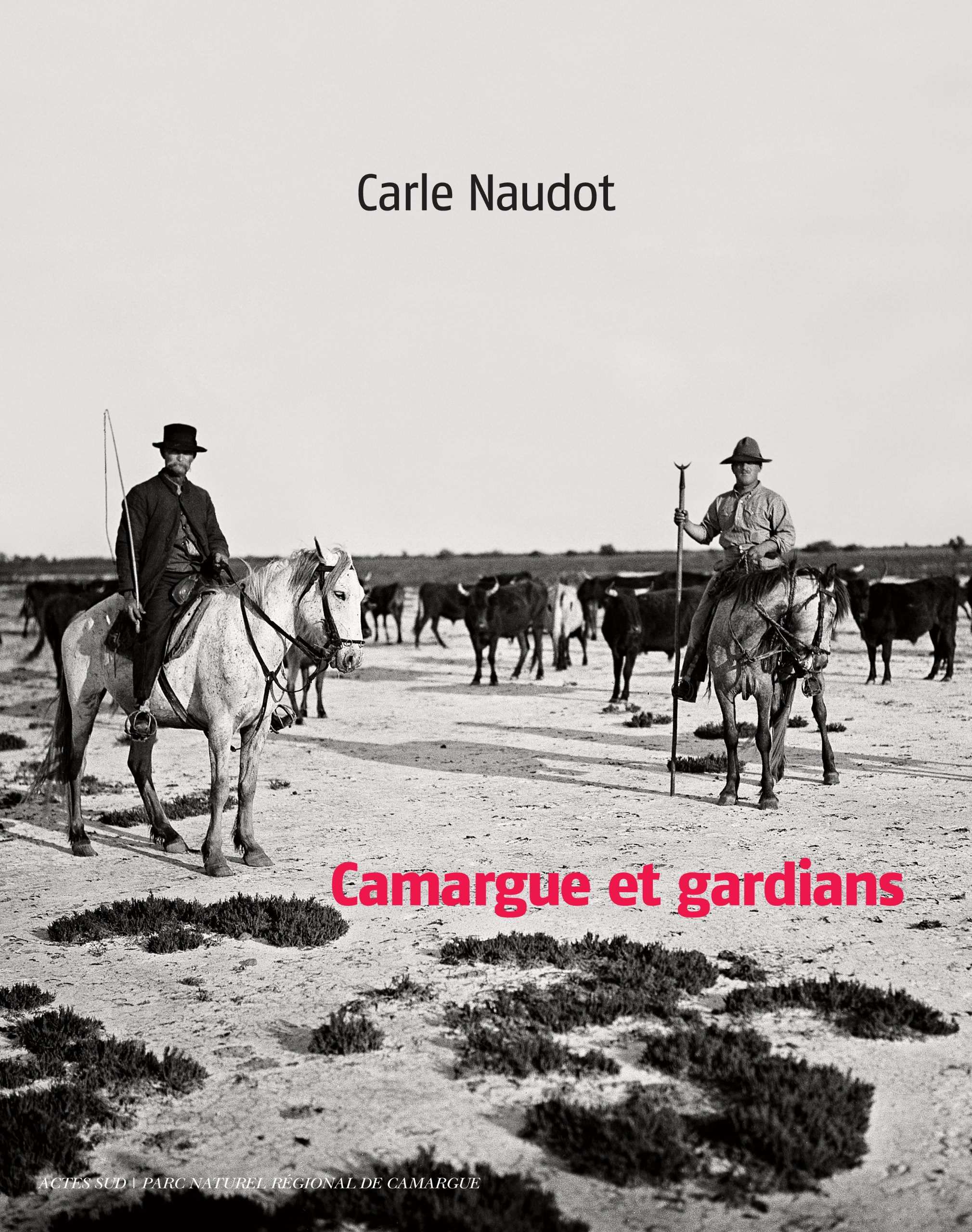 Camargue et gardians