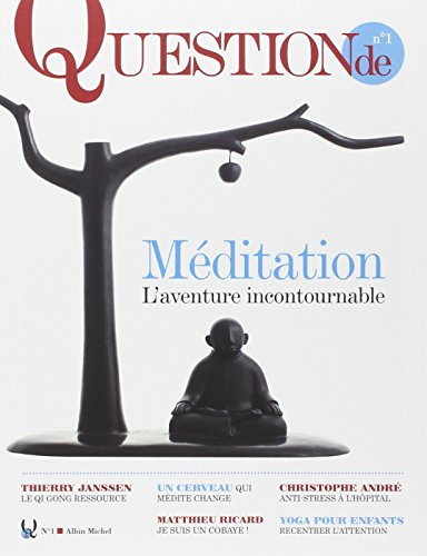 Question de, n° 1. Méditation : l'aventure incontournable