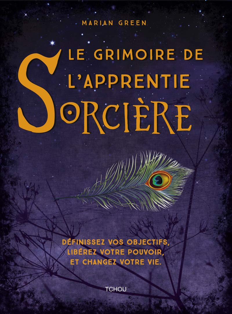 Le grimoire de l'apprentie sorcière : définissez vos objectifs, libérez votre pouvoir et changez vot