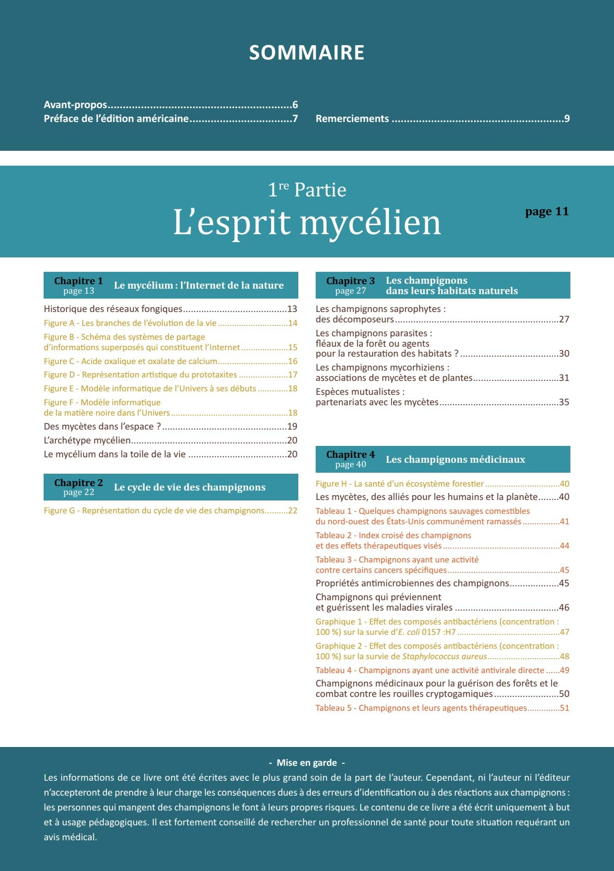 Le mycélium à la conquête du monde : comment les champignons peuvent aider à sauver la planète