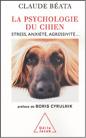 La psychologie du chien : stress, anxiété, agressivité...