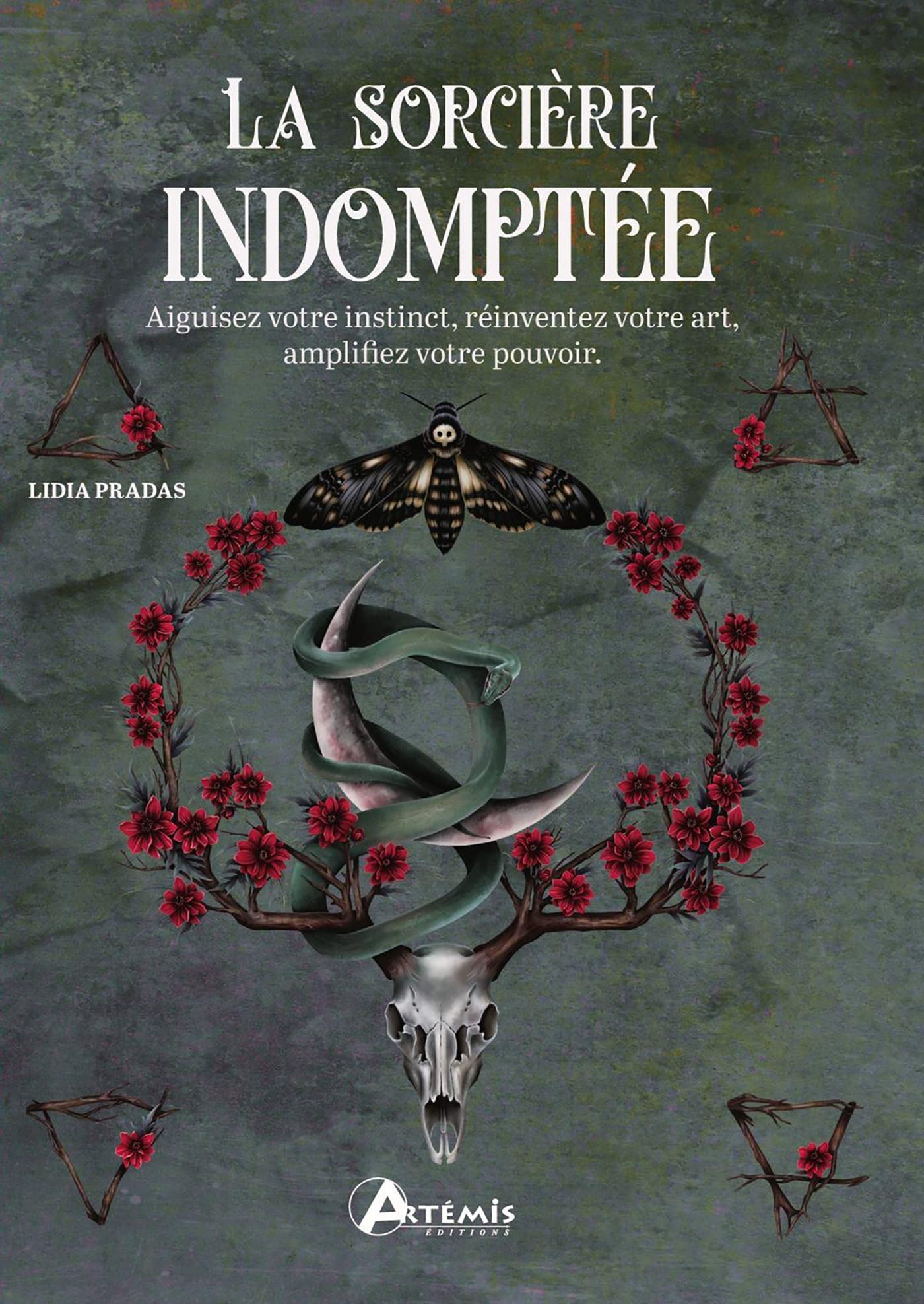 La sorcière indomptée : aiguisez votre instinct, réinventez votre art, amplifiez votre pouvoir