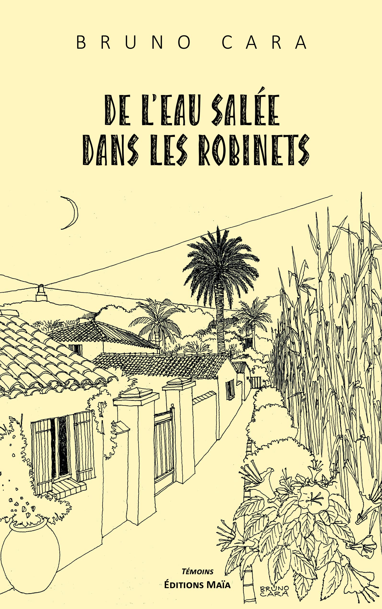 De l'eau salée dans les robinets