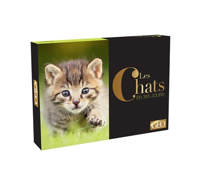 Les chats en 365 jours