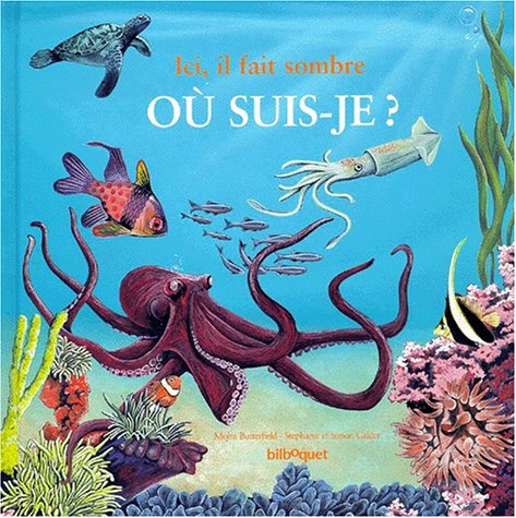 Ici, il fait sombre