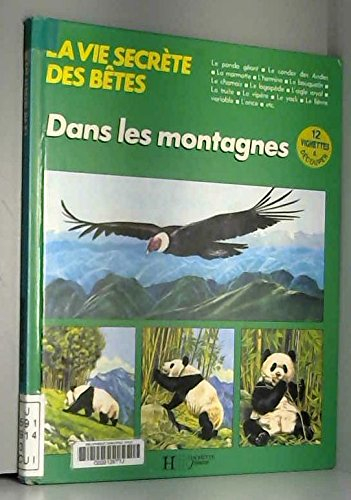 dans les montagnes