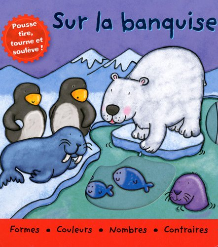 Sur la banquise