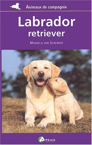 Labrador retriever