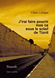 J'irai faire pourrir mes os sous le soleil de Tiznit