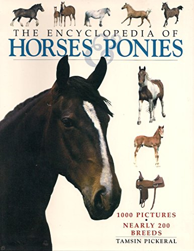 horses & ponies dutchbound cover