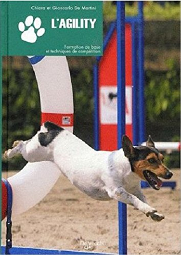 L'agility : formation de base et techniques de compétition
