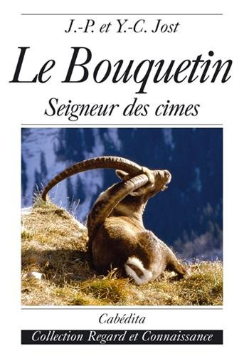 Le bouquetin : seigneur des cimes