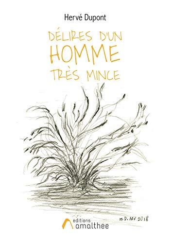 DELIRES D'UN HOMME TRES MINCE