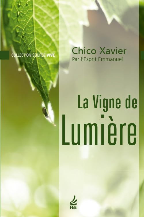 La Vigne de Lumière