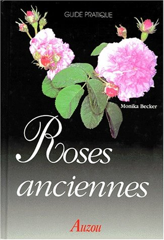 Roses anciennes