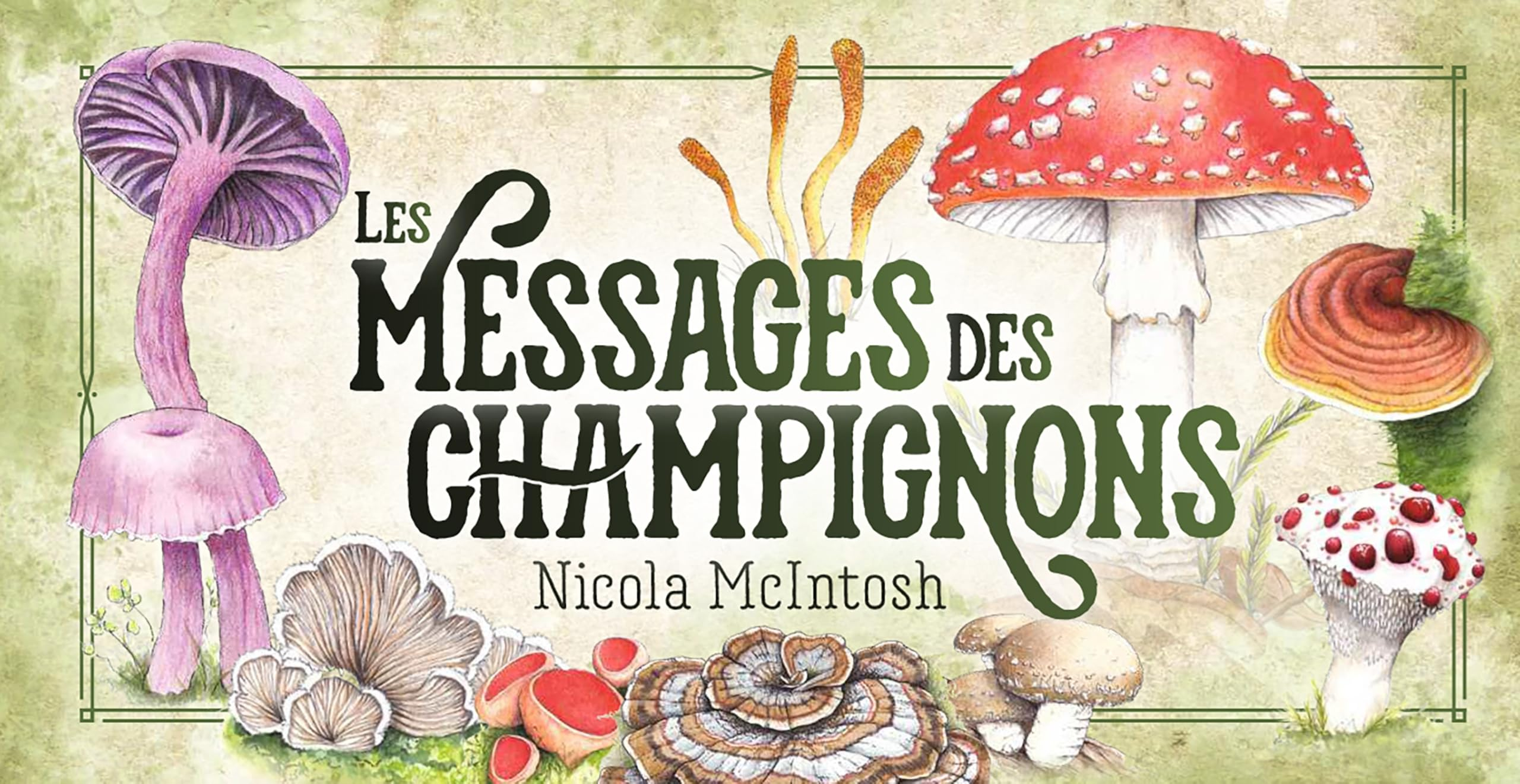 Les messages des champignons