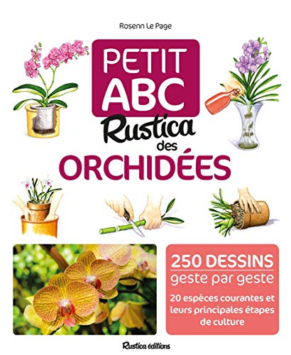 Petit ABC Rustica des orchidées : 250 dessins geste par geste, 20 espèces courantes et leurs princip