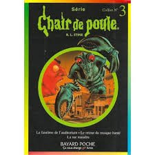 Coffret chair de poule n3 11/98