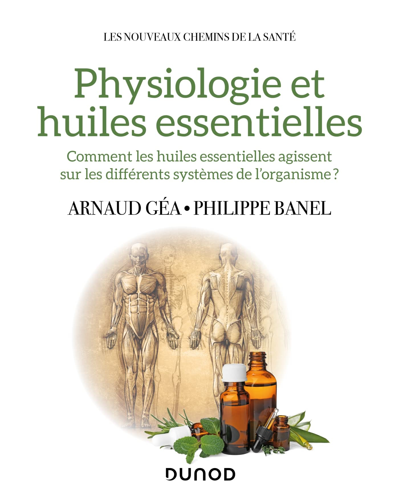Physiologie et huiles essentielles : comment les huiles essentielles agissent sur les différents sys