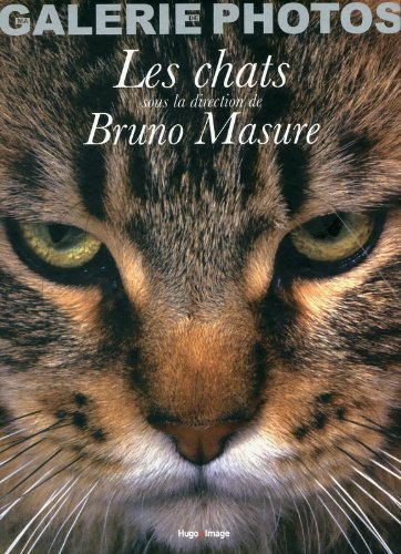 Les chats