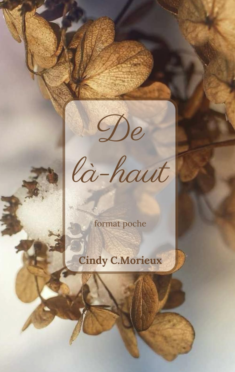 De là-haut: format poche